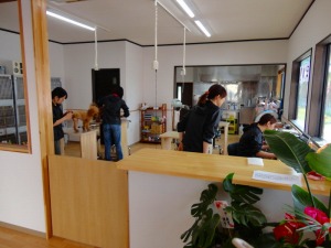 http://www.taiyo-koutu.co.jp.jpg